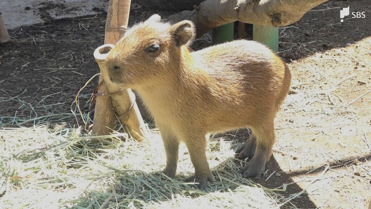 img_f48c8919a23b97b5ddcae7cd5c