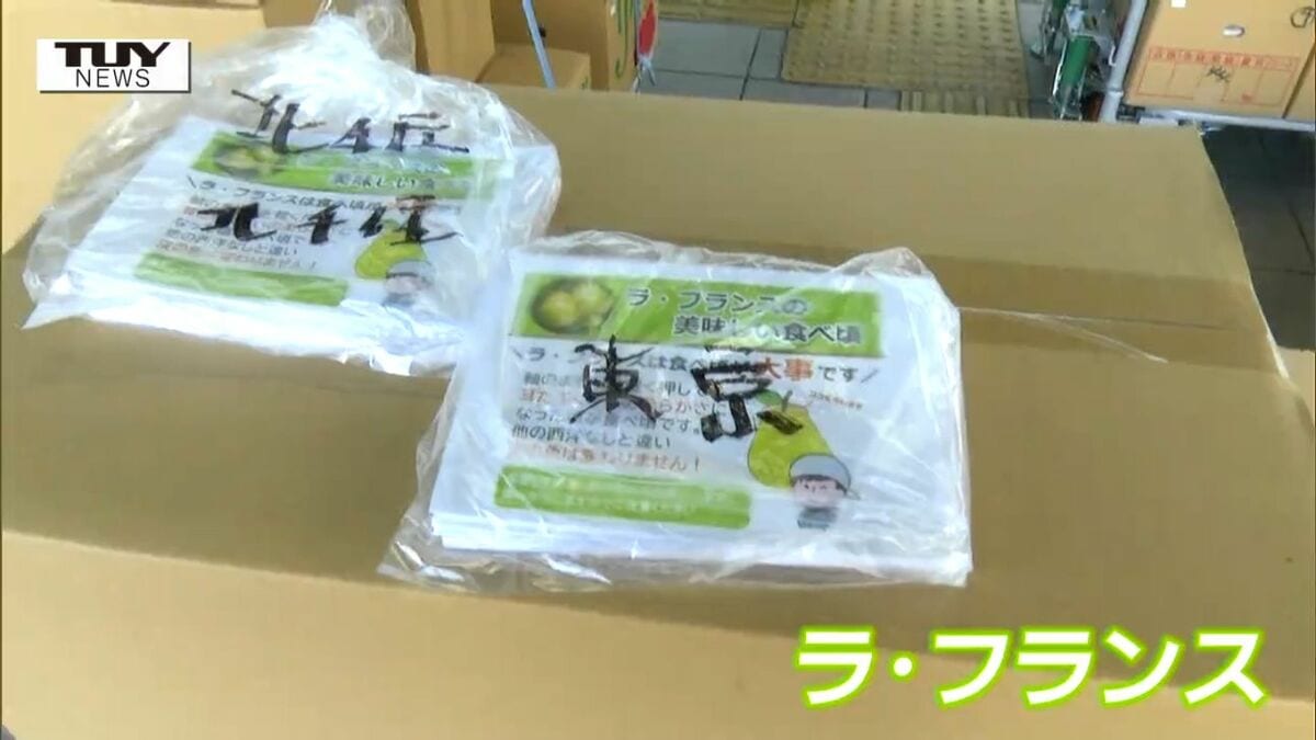 新幹線で旬をスピード輸送！ 食べごろのラ・フランスが首都圏へ向け