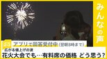 花火大会 有料席に広がる値上げの波 最安席でも平均価格は5227円 この価格どう思う?【news23】|TBS NEWS DIG