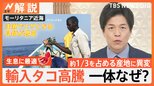 産地や食文化に異変?輸入タコが高騰 欧米でも需要増加で「日本は“買い負け”している」【Nスタ解説】|TBS NEWS DIG