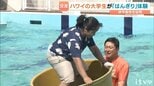 ｢地獄です。きつい…」ハワイの大学生が松前町の伝統「はんぎり」に挑戦!伊予高校生とたらい乗りリレーで交流深める 愛媛|TBS NEWS DIG
