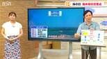 海水浴の注意点【離岸流】オリンピック選手並みの速さで沖に流されてしまう“危険な流れ”にもしも巻き込まれてしまったら？|TBS NEWS DIG