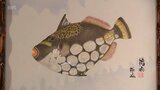 鮮やかな色彩で原寸大の魚を再現 「カラー魚拓」の展示会 宮崎市の大淀川学習館で7月5日まで|TBS NEWS DIG