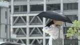 7地点で35℃以上の猛暑日 熱中症の搬送者も 愛媛 | 愛媛のニュース - Nスタえひめ|あいテレビは6チャンネル