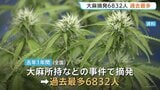 若者にまん延する大麻 20代以下が全体の7割以上…去年1年の大麻事件摘発6832人で過去最多　ネット通じて売人を知るケースが4割以上　警察庁|TBS NEWS DIG