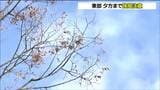 冬型の気圧配置の影響 宮城県内では西寄りの風強まる ピーク過ぎるも夕方まで強風に注意|TBS NEWS DIG