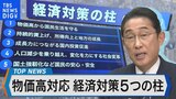 物価高対策など経済「5本柱」を検証~「年収の壁」を気にせず働けるようになる?~【Bizスクエア】|TBS NEWS DIG