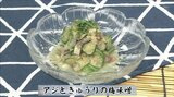 残暑疲れを吹き飛ばす!サッパリ仕立て「アジときゅうりの梅味噌」魚レシピ【わっちtheキッチン】 | 青森のニュース│ATV NEWS│青森テレビ
