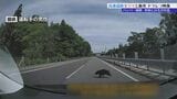 「わっ!危ない!(ドン!)…クマひいちゃった今…」東北道で仙台市の男性の車がクマと衝突 その瞬間を収めたドラレコ映像 バンパーは割れ、クマの毛が付着 その時の感触は… 岩手|TBS NEWS DIG