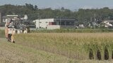 【独自】業者間のコメ取引価格 9月は過去最高値の見通し スーパーでの価格は6週連続で4000円台 高値続く|TBS NEWS DIG