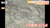 山形大学が新たに303点のナスカの地上絵を発見 今後さらに500点近くの地上絵が見つかる見込み(山形) | 山形のニュース│TUYテレビユー山形