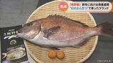 年末年始に向けて 「幻の柑橘」で育った新ブランド 「熟成熊野鯛」の出荷がピーク 三重 | 名古屋・愛知・岐阜・三重のニュース【CBC news】 | CBC web