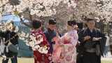移り変わる「花見スタイル」100年の変化 和服に茶店の桜餅~豪華弁当~カラオケ~オンライン花見まで | 福岡のニュース|RKB NEWS|RKB毎日放送