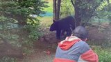 クマを麻酔銃で捕獲の瞬間 発見から10時間後 周辺は6月上旬から目撃情報が相次ぐ 山梨 | 山梨のニュース | UTYテレビ山梨