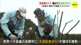 2年後の世界バラ会議 福山大会に向け 新品種のバラの苗を植え付け　広島　|　RCC NEWS | 広島ニュース | RCC中国放送