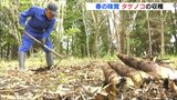 春の味覚　タケノコを収穫　朝採れは地元の産直市にも　広島･三次市　|　RCC NEWS | 広島ニュース | RCC中国放送