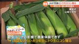 小学校にトウモロコシを寄贈 新型コロナの影響で恒例の農業体験が出来ず JA「来年こそは一緒に」|TBS NEWS DIG