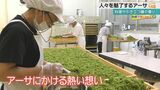 栄養満点! 沖縄の海の幸・アーサの生産から加工までの現場に密着 | 沖縄のニュース|RBC 琉球放送