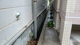 側溝の中に衣服を着けていない男性の遺体 腐敗が進み顔の判別できず 警察が事件性の有無を捜査 秋田市|TBS NEWS DIG