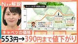 まだ高い「キャベツ」のお値段　553円→390円まで値下がり　アキダイ社長「これから先は安くなる」【Nスタ解説】|TBS NEWS DIG