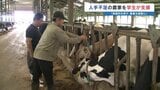 農家の手助けに… 大学生が農業支援 実践的な学びも 熊本・産山村|TBS NEWS DIG