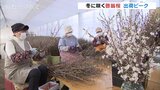 真冬にサクラ咲く!雪景色とコラボ『啓翁桜』の出荷ピーク | 富山のニュース|天気・防災|チューリップテレビ