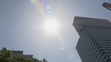 「暑い…とにかく暑いです」うだるような暑さの中で一番人気の「アセダレーヌ」って何? | 名古屋・愛知・岐阜・三重のニュース【CBC news】 | CBC web