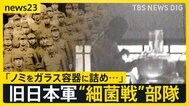 知られざる旧日本軍の“細菌戦”部隊…東南アジアに展開 「感染症予防」の裏で繰り返された“ペスト菌ノミ”実験 関与した軍医たちの戦後は…【news23】|TBS NEWS DIG