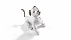 ソニー犬型ロボット「aibo」現行モデルの国内販売終了へ 事業は継続| TBS CROSS DIG with Bloomberg