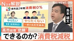 高市総理「悲願」の消費減税に党内から「愚策」の声、表面化する自民党議員の本音【Nスタ解説】| TBS CROSS DIG with Bloomberg