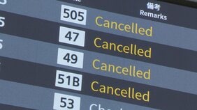 ANA 95便欠航 約13200人に影響　使用機体の整備作業のため　欧州航空安全庁がエアバス機に整備作業を指示|TBS NEWS DIG