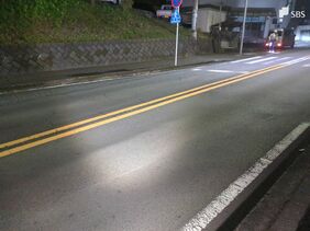 自転車の男子小学生（8）が死亡する交通事故＝静岡県伊東市|TBS NEWS DIG