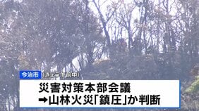 愛媛・今治市の山林火災9日目　約442ヘクタール焼け、愛媛県内では平成以降、最悪の規模　一部に避難指示継続　きょう午前中にも「鎮圧」か判断へ|TBS NEWS DIG