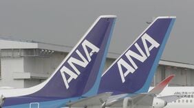 ANA 33便欠航　約4700人に影響　使用機体の整備作業のため　欧州航空安全庁がエアバス319・320・321型機に整備を指示|TBS NEWS DIG