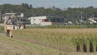 【独自】業者間のコメ取引価格 9月は過去最高値の見通し スーパーでの価格は6週連続で4000円台 高値続く| TBS CROSS DIG with Bloomberg