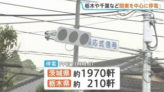 【停電情報】茨城県で約1970軒　栃木県で約210軒の停電発生　復旧のメド立たず　午前11時時点| TBS CROSS DIG with Bloomberg