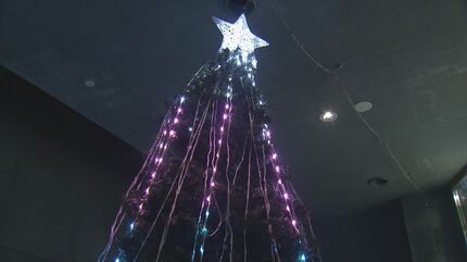 水族館ならではのクリスマス LED電飾が“デンキウナギの放電”に連動した