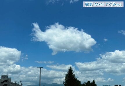空に浮かぶ雲を『全種類』見つけてみよう 気象予報士がお薦めする