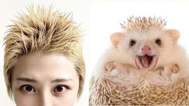 【がんサバイバー】西丸優子さん「つくし」から「ハリネズミ」抗がん剤による脱毛から再生【発毛速報】|TBS NEWS DIG