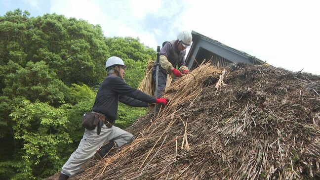 ”職人の勘”だけが頼り　初代総理大臣の生家　かやぶき屋根ふきかえ作業始まる　山口県光市|TBS NEWS DIG