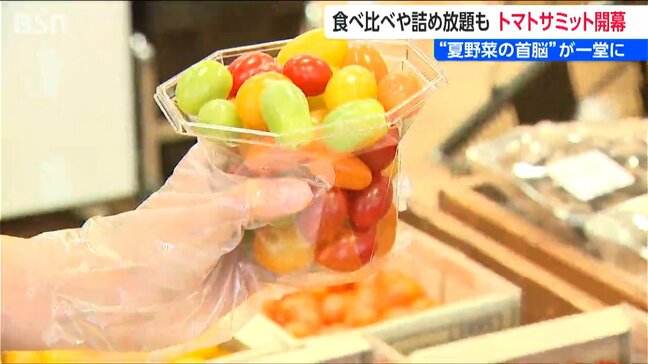 ミニトマト詰め放題で680円『完熟!トマトサミット』新潟県三条市|TBS NEWS DIG