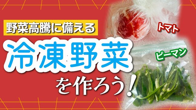 「冷凍野菜」が家計を救う 9月になっても続く暑さ 懸念される野菜の高騰 “今のうちに冷凍しておきたい野菜” 「野菜ソムリエプロ」に聞くオススメ野菜と冷凍方法|TBS NEWS DIG