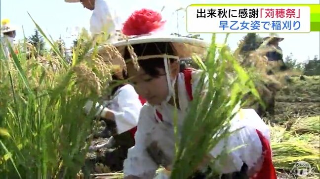 早乙女姿に身を包んだ児童が神様に捧げる稲を丁寧に刈り取り 出来秋に感謝しながら「苅穂祭」 青森県平川市『猿賀神社』|TBS NEWS DIG