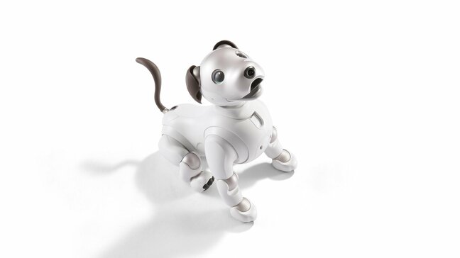 ソニー犬型ロボット「aibo」現行モデルの国内販売終了へ 事業は継続|TBS NEWS DIG