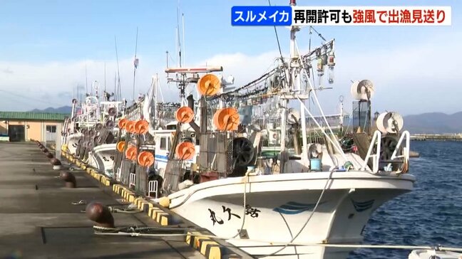 『スルメイカ漁』待望の再開も「きょうは無理だね」と漁師嘆き…天候不順で出漁できず 10日から「資源調査」として上限398トンの漁を知事が許可|TBS NEWS DIG