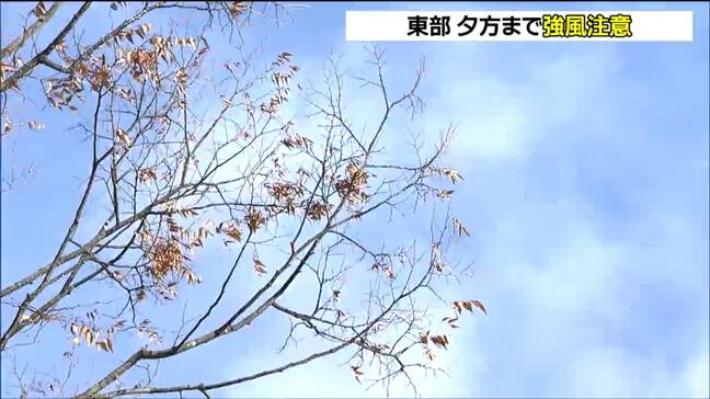 冬型の気圧配置の影響 宮城県内では西寄りの風強まる ピーク過ぎるも夕方まで強風に注意|TBS NEWS DIG