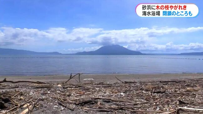 海水浴場に流木・がれき散乱…海水浴シーズンも遊泳禁止「バーベキューはたくさん予約を」　鹿児島|TBS NEWS DIG