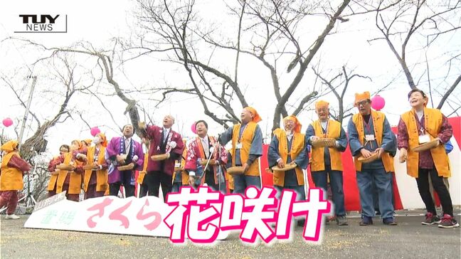 まもなく見ごろ「置賜さくら回廊」をPRする花咲けイベント（山形・南陽市）|TBS NEWS DIG