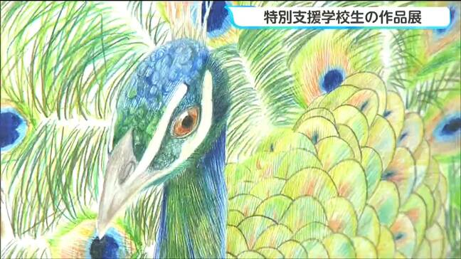 羽を一本一本丁寧に…圧巻のクジャクとフクロウの絵 特別支援学校の子どもたち630点の作品展が開幕 宮城・大崎市|TBS NEWS DIG