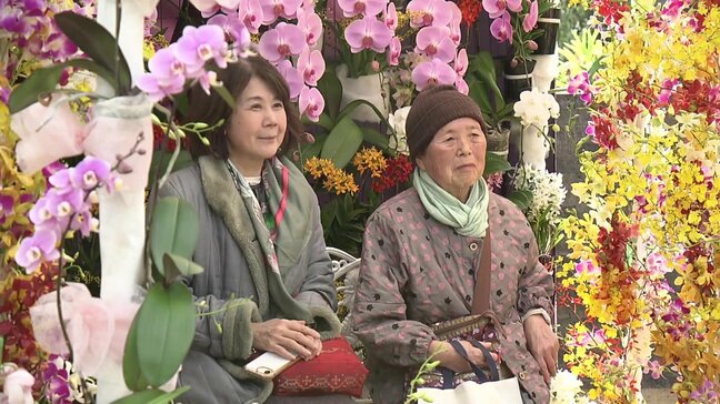 50周年の広島市植物公園　「春の特別ラン展」始まる　3月1日まで　周年記念ロゴも披露|TBS NEWS DIG